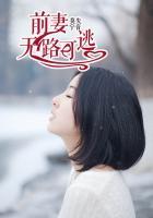 前妻无价