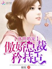 盛世婚宠总裁轻轻爱免费阅读