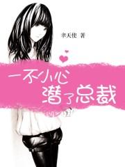 一不小心潜了总裁聿天使全文阅读免费阅读李诗弥