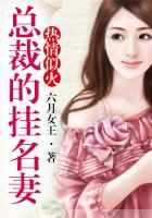 热情似火总裁的挂名妻