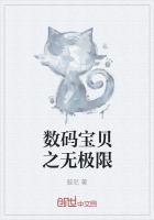 数码宝贝之无限进化攻略