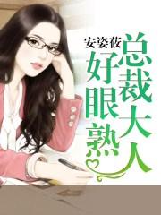 总裁大人好眼熟TXT