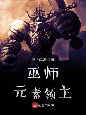 巫师元素领主 骑行江湖