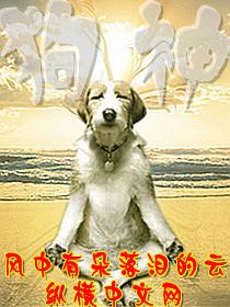 狗神经炎多久恢复正常