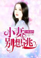 全城通缉剧情介绍小雨