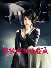 傲娇总裁轻一点布桐厉景琛