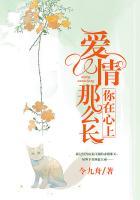 爱情那么长免费阅读