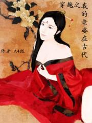 穿越之我的老婆是大佬