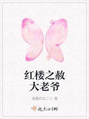 红楼之赦大老爷小寒朝