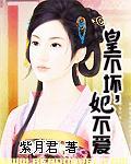 皇不坏妃不爱