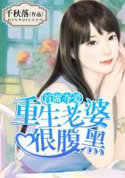 首席宠妻录重生
