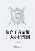 穿越王者荣耀之我是大小姐