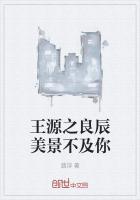 良辰美景好时光绝不止步歌曲