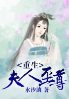 重生夫人至尊全文免费