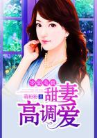 冷面总裁宠妻无度