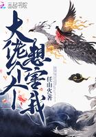 大佬个个想抓我