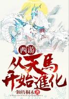 西游从天马开始进化最开始在哪里看