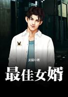 最佳女婿完整版