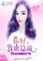 你好总裁免费阅读全文