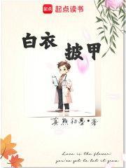 白衣披甲笔趣阁txt