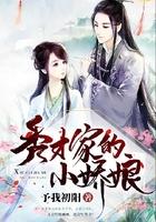 秀才家的小娇娘书评