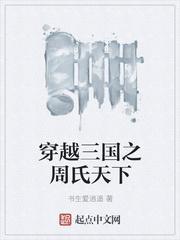 重生三国之周氏天下