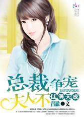 天阶宠妻总裁夫人不好惹