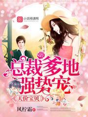 天价宝贝总裁爹地超给力全文免费阅读