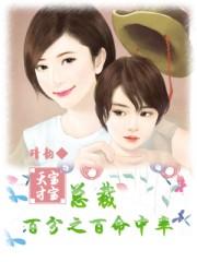 天才宝宝总裁文