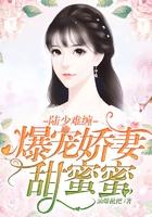 陆少宠妻太甜蜜