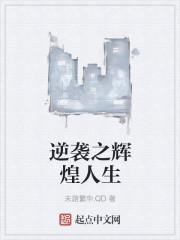 全职高手之我真不是奶爸