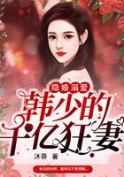 隐婚溺爱韩少的千亿狂妻 沐葵