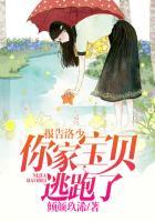 报告洛少你宝贝又跑了