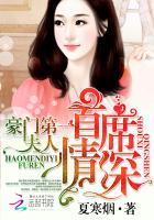 首席情深豪门第一夫人全文免费