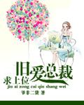 旧爱总裁求上位爷非二货