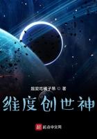 维度创世神TXT