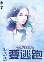 替嫁甜妻少奶奶又凶又撩