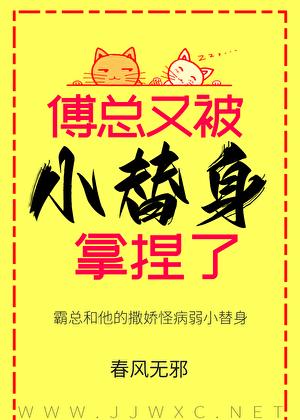 傅总的替身暖妻