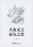 犬夜叉之御灵丸