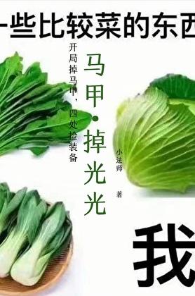 马甲掉了什么意思网络用语