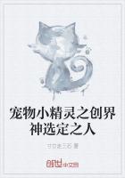 宠物小精灵之创世神