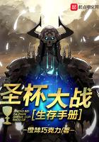 圣杯大战生存手册攻略