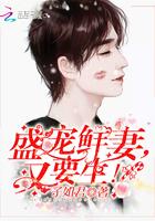 盛宠妻宝全文免费阅读无弹窗