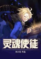 灵魂的使者的意思