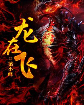 龙在飞天是什么生肖