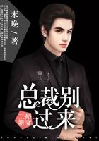 总裁的二婚新妻