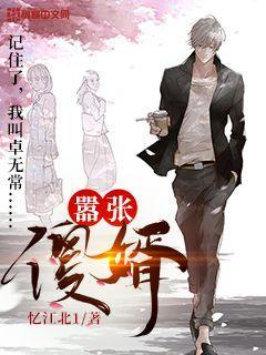 嚣张傻婿亿江北1