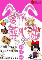 守护甜心大全复仇几梦