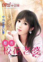 都市之我的校花老婆