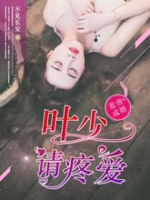 惹债成婚叶少请疼爱 不见长安